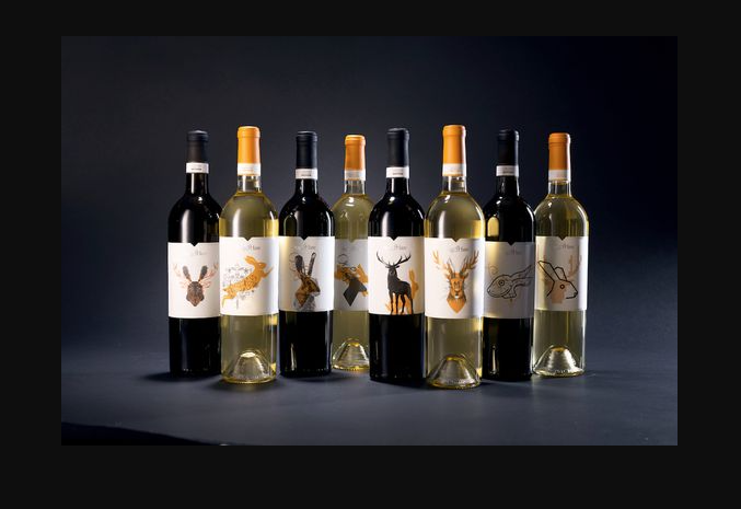 1718761263979889.png image.png